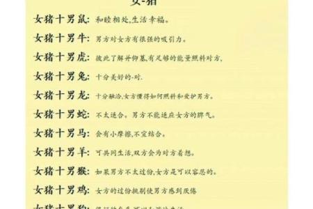 1996年属鼠的人和什么属相最配，婚姻配对表详解