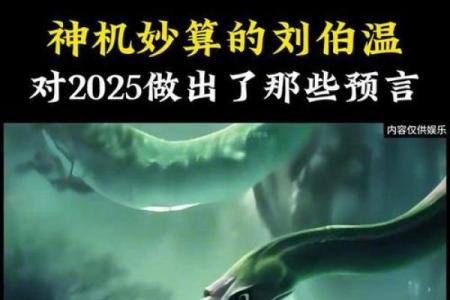 刘伯温预言2023年巨变(刘伯温2025预言)