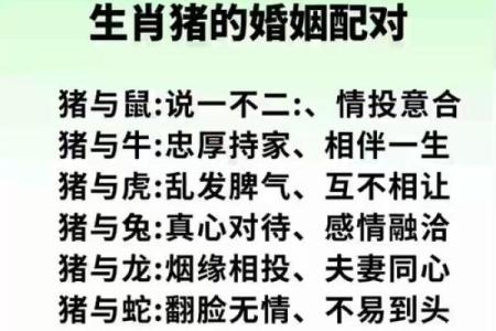 属猴和属猪的婚姻相配吗？看看生肖配对怎么说