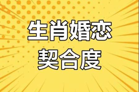 生肖与星座配对(生肖星座配对免费)
