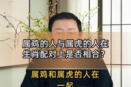 属鸡女性婚姻配对最佳生肖解析，命中注定丈夫的性格与命运特征