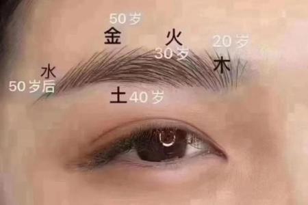 长眉毛断了代表什么 长眉毛断了代表什么生肖