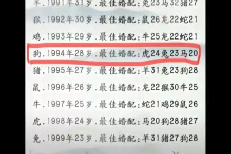 男虎女蛇的婚姻是否注定不顺？真实案例分析与化解建议