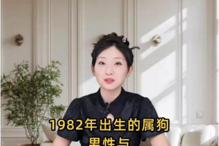 1982年出生的属狗人二婚会在哪一年遇到正缘