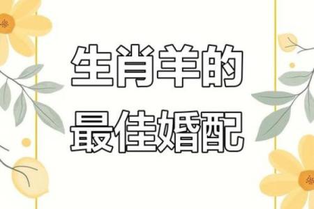 属羊的婚配大忌中哪些生肖组合容易导致婚姻不顺？
