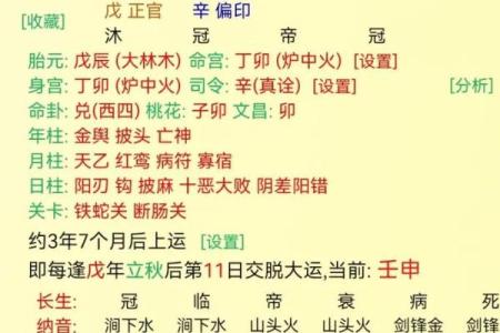 丙辰日哪年是正缘 丙辰日最好配哪个时辰的八字