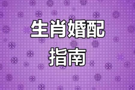 男猴和什么属相结婚最合适才能婚姻幸福长久