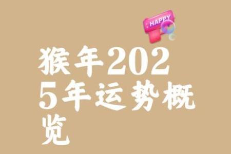1992年属猴男2025年运势详解，婚姻感情会有新的突破吗？