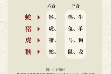 从生肖配对角度分析猴和猪在一起是否对事业财运有不利影响