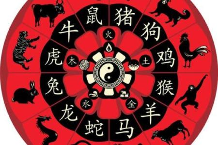 从生肖性格角度分析，属蛇和属狗的人在一起合作共事合不合？