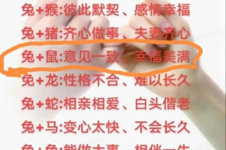 属鼠的人与哪些生肖婚配能够获得最和谐的婚姻关系