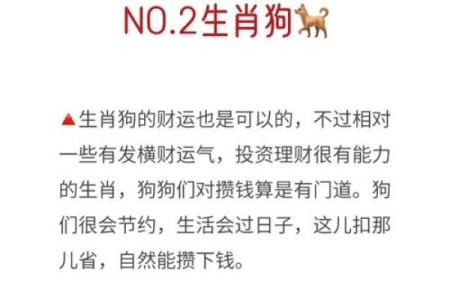 穷追不舍是什么生肖