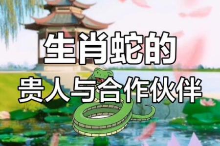 男属蛇的最佳婚配属相是哪些生肖呢