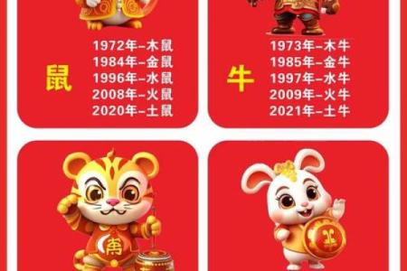 属鼠的和什么属相比较合得来适合做夫妻