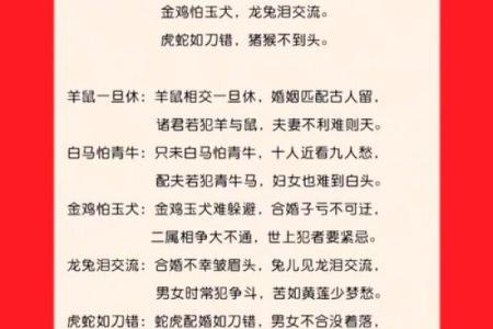 属虎的婚配属相查询：最佳配对与相克生肖详解，助你姻缘美满