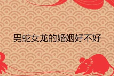 2000年龙男与2001年蛇女结婚运势如何？是否属于上等婚配解析