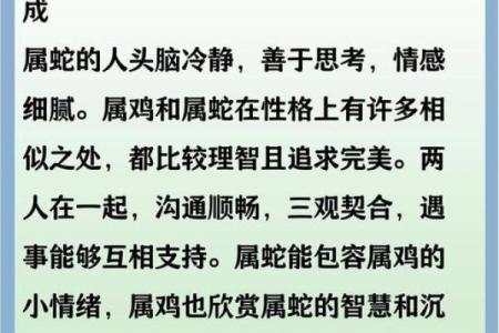 属龙和属鸡的生肖配对在事业合作上是否合适？详细解析
