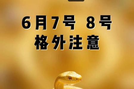 1977属蛇大忌颜色 77年属蛇什么颜色聚财