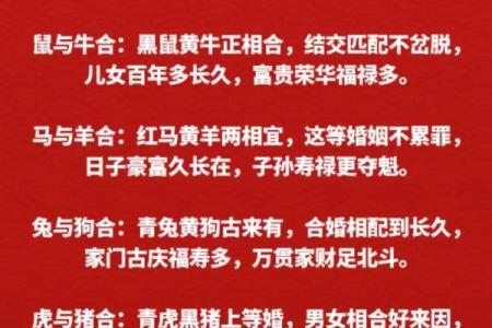 属猴的女性婚姻配对指南：哪些生肖能带来美满姻缘？