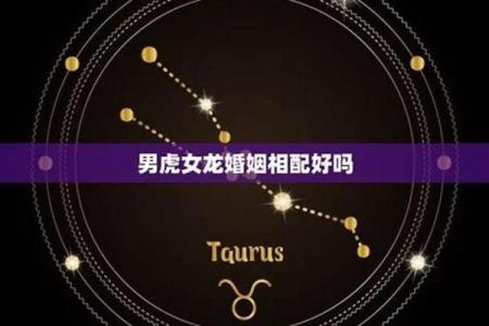 男虎和女龙的属相合不合 男虎女龙的属相合不合婚姻