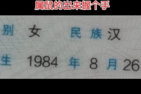1984年出生的属鼠人婚姻幸福应该找哪个属相最合适