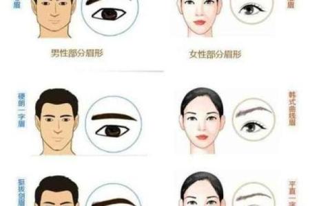 面相断眉 面相断眉毛算命图解