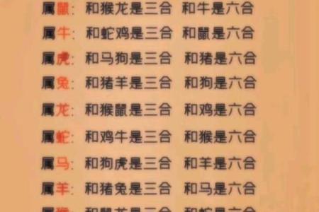 一三自立在门外指什么生肖