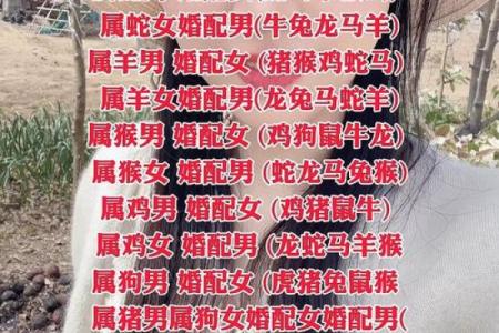 属相婚配中猴和兔的配对是否合适？解析性格与命运契合度