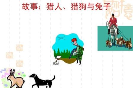 男兔女鸡结婚后的真实生活案例分享与经验解析