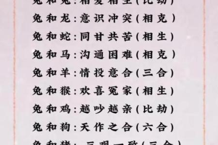 蛇和猪生肖配对婚姻是否幸福长久，需要注意哪些方面