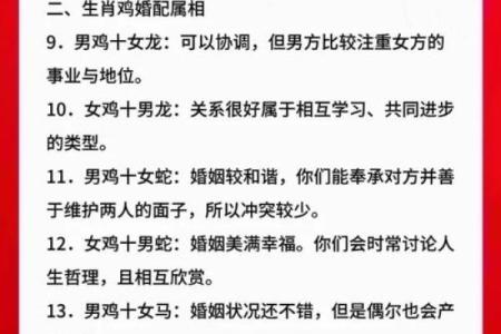 81年属鸡和82年属狗的婚姻配对真的合适吗？解析生肖婚配的奥秘
