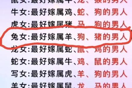属鸡和属狗的婚姻相配吗？解析传统生肖婚配的宜忌与影响