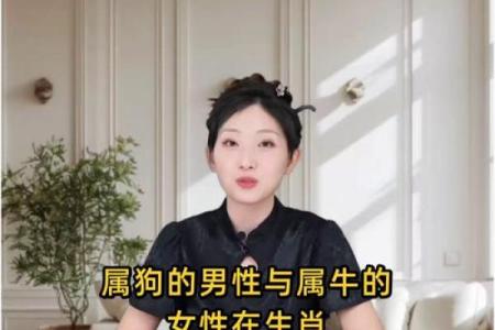 从命理角度看属牛和属狗的人合作共事是否合适，会不会有冲突？