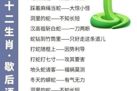 十二生肖中哪个动物代表威风扫地的寓意及其文化背景解析