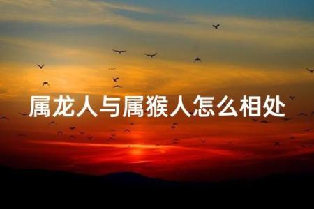 属龙人与属猴人结婚会幸福吗？婚后需要注意哪些问题