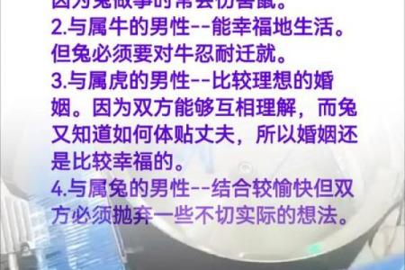 兔年出生的男性与哪些属相女性婚姻最幸福长久