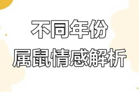 1996年属鼠人婚姻命运如何，是否会幸福长久