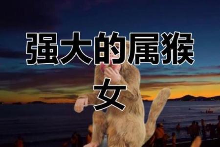 属猴女和什么生肖最配？揭秘最佳婚配对象与相处之道