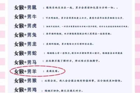 十二生肖配对婚姻：属鼠和属马的人结婚会幸福吗？
