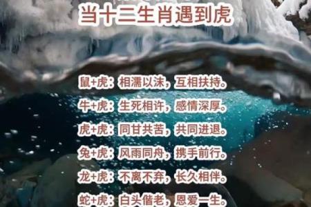 1998年属虎的人最佳婚配属相是哪些生肖呢
