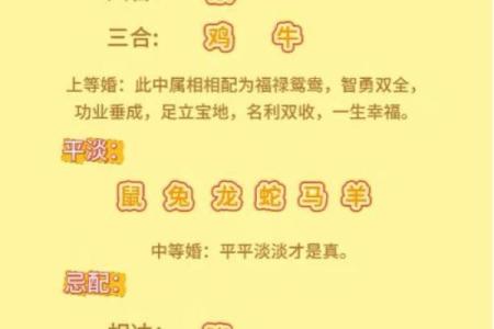 从生肖角度分析马和鼠的合作伙伴关系，事业上能否互补共赢？