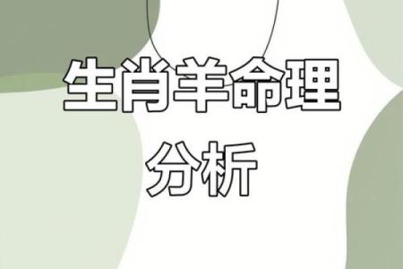 46岁属羊人婚姻运势解析，79年出生今年能否遇见真爱？