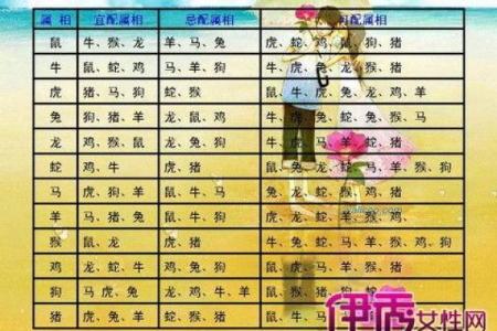属鸡者的最佳婚配生肖是谁，性格互补的伴侣有哪些？
