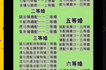 生肖属马的人最佳婚配对象是哪些生肖，婚姻生活会更幸福？