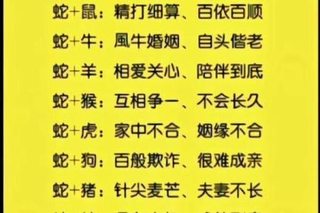 属猴女和什么属相最配？揭秘最佳婚配组合与幸福秘诀