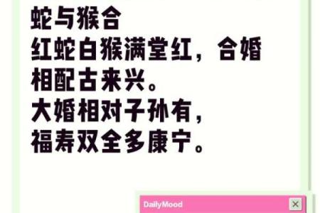 92年属猴男和90年属马女结婚合适吗？性格与命运深度解析