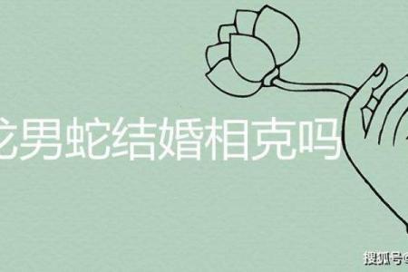 男狗女龙结婚后的真实生活案例，他们的婚姻最终如何收场？