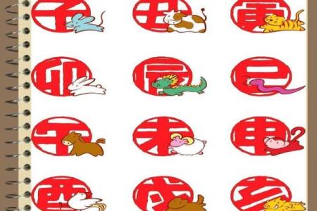 反哺之私具体指的是哪个生肖？它的寓意和传统文化背景解析