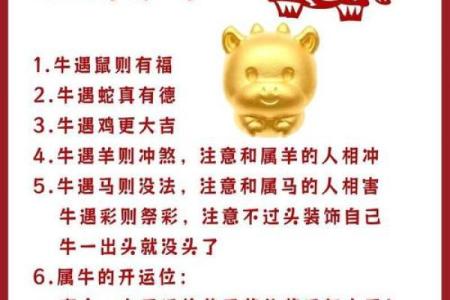 属牛的和什么属相结婚最合适婚后生活幸福美满