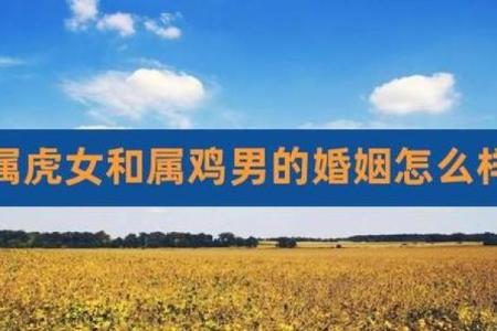 男属鸡女属虎相差5岁婚姻相配吗？生肖配对与年龄差距的影响解析